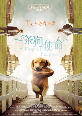 女演员具有的天赋