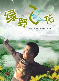 啄木鸟和满天星系列从哪里看