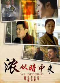精品视频在线播放
